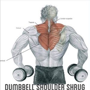 Meet your Posher, George